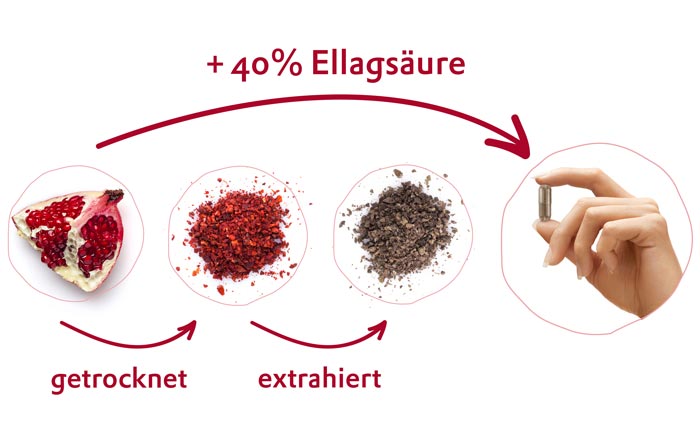 FürstenMED
